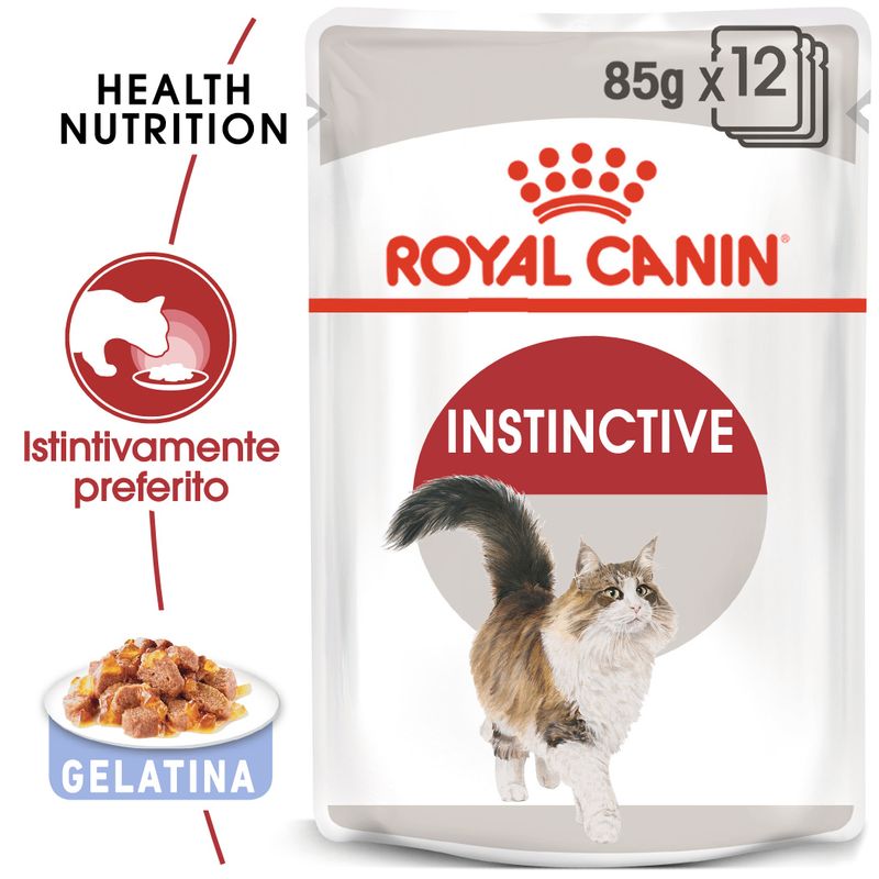 Royal Canin Instinctive Umido in Gelatina per Gatti 12x85g Royal Canin Instinctive Umido in Gelatina per Gatti 12x85g